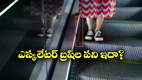 Escalators: ఎస్కలేటర్ ఇరువైపులా సేఫ్టీ బ్రష్ లు, ఎందుకో తెలుసా?