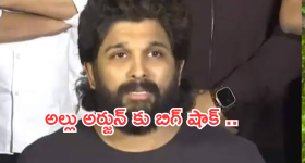 Allu Arjun : అల్లు అర్జున్ కు హ్యాండ్ ఇచ్చిన బడా ప్రొడ్యూసర్.. ఏం జరిగిందంటే..?