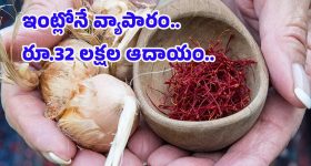 19 Yrs Old Google Techie : స్కూల్ స్థాయిలోనే గూగుల్ ఉద్యోగం - అయినా వర్శిటీల్లో అడ్మిషన్లు రిజెక్ట్ - కోర్టుకెక్కిన యువకుడు