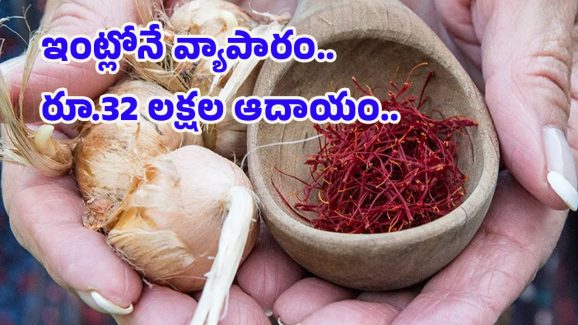 Woman Growing Saffron: ఇంట్లోనే కుంకుమ పువ్వు సాగు.. రూ.32 లక్షల ఆదాయం పొందుతున్న మహిళ