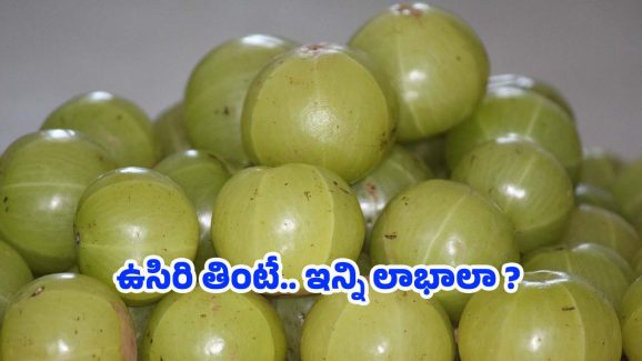 Amla Health Benefits: ప్రతి రోజు ఉదయం ఉసిరి తింటే.. అనేక లాభాలు !