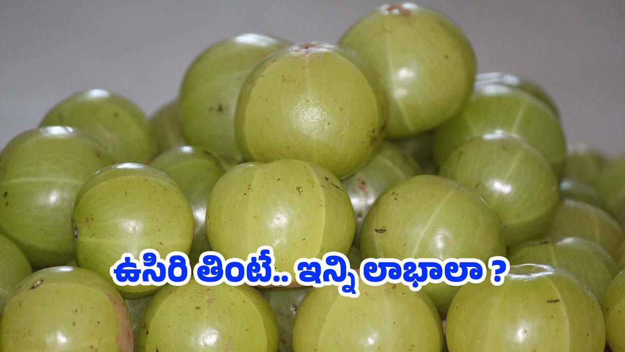Amla Health Benefits: ప్రతి రోజు ఉదయం ఉసిరి తింటే.. అనేక లాభాలు !