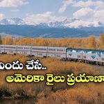 Scenic Train Rides US: అమెరికాలో అద్భుతమైన రైలు ప్రయాణాలు, అస్సలు మిస్ కాకండి!