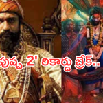 Chhavva Collections : ఐదు వారాలైన తగ్గని జోరు.. పుష్ప 2 రికార్డ్ బ్రేక్..