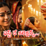 Chhaava Collections : తెలుగులో ‘ఛావా’కు రికార్డ్ ఓపెనింగ్స్..ఎన్ని కోట్లంటే..?