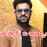 Prabhas: ప్రభాస్ నెక్స్ట్ ప్లానింగ్ వేరే లెవల్.. ఫ్యాన్స్ ఫుల్ హ్యాపీ..!