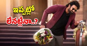 The Raja Saab: ఫ్యాన్స్ ను నిరాశపరిచిన ప్రభాస్.. ఏమైందంటే..?