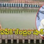 Rayalaseema Lift Irrigation: ఏపీకి ఊహించని పరిణామం.. రాయలసీమ లిఫ్ట్ ఇరిగేషన్‌కు అనుమతుల నిరాకరణ