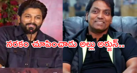 Allu Arjun : నాకు గాయాలైన బన్నీ వదల్లేదు.. నిజాలను బయటపెట్టిన కొరియోగ్రాఫర్..
