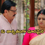 Gundeninda GudiGantalu Today episode: బాలుకు అవమానం.. మీనాను తీసుకొని వెళ్ళిపోతాడా..?