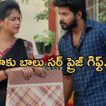 Gundeninda GudiGantalu Today episode: మటన్ మాణిక్యంతో రోహిణి నాటకం.. మీనా పై ముద్దుల వర్షం..
