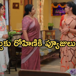 Gundeninda GudiGantalu Today episode: ప్రభావతికి చుక్కలు చూపిస్తున్న మీనా.. రవి, శృతిలకు బాలు వార్నింగ్..