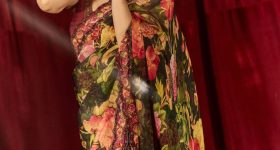 Hansika Motwari : పూల చీరలో యాపిల్ బ్యూటీ అందాల విందు.. స్టిల్స్ అదుర్స్...