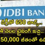 IDBI Recruitment: డిగ్రీతో భారీగా ఉద్యోగాలు.. 4 నెలలు ట్రైనింగ్ ఇచ్చి ఉద్యోగం ఇస్తారు.. జీతం రూ.6,50,000