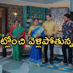 Intinti Ramayanam Today Episode : పార్వతికి షాకిచ్చిన అవని.. పెళ్లి చెడగొట్టందుకు పల్లవి బిగ్ స్కెచ్..