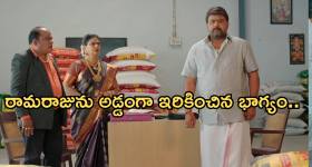 Illu Illalu Pillalu Today Episode: భాగ్యం ప్లాన్ రివర్స్.. భద్ర చెప్పిన నిజాన్ని  నమ్మేస్తుందా..?