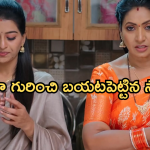 Illu Illalu Pillalu Today Episode: చందును బుట్టలో వేసుకున్న శ్రీవల్లి.. నర్మదా పై బుజ్జమ్మ కు అనుమానం..