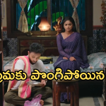 Illu Illalu Pillalu Today Episode: రామరాజు కు వార్నింగ్ ఇచ్చిన భాగ్యం.. నిజం దాచినందుకు కన్నీళ్లు పెట్టుకున్న బుజ్జమ్మ..