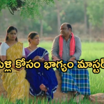 Illu Illalu Pillalu Today Episode: రామరాజు ఇంట మొదలైన పెళ్లి సంబరాలు.. శ్రీవల్లి పెళ్లి కోసం భాగ్యం తంటాలు..