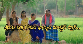 Illu Illalu Pillalu Today Episode: రామరాజు ఇంట మొదలైన పెళ్లి సంబరాలు.. శ్రీవల్లి పెళ్లి కోసం భాగ్యం తంటాలు..