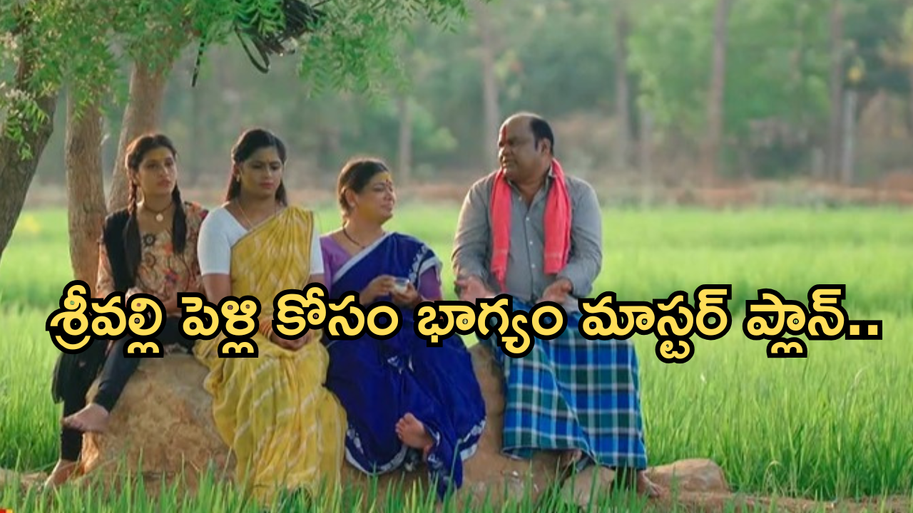 Illu Illalu Pillalu Today Episode: రామరాజు ఇంట మొదలైన పెళ్లి సంబరాలు.. శ్రీవల్లి పెళ్లి కోసం భాగ్యం తంటాలు..