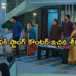 Intinti Ramayanam Today Episode : శ్రీయకు నెక్లేస్ ఇచ్చిన పల్లవి పై శ్రీకర్ సీరియస్.. పల్లవి ప్లాన్ కు శ్రీయ బలి..