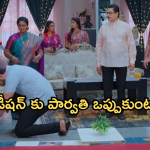 Intinti Ramayanam Today Episode : అవనిని ఇంటికి తీసుకురావడానికి పార్వతి గ్రీన్ సిగ్నల్.. షాకిచ్చిన పార్వతి..