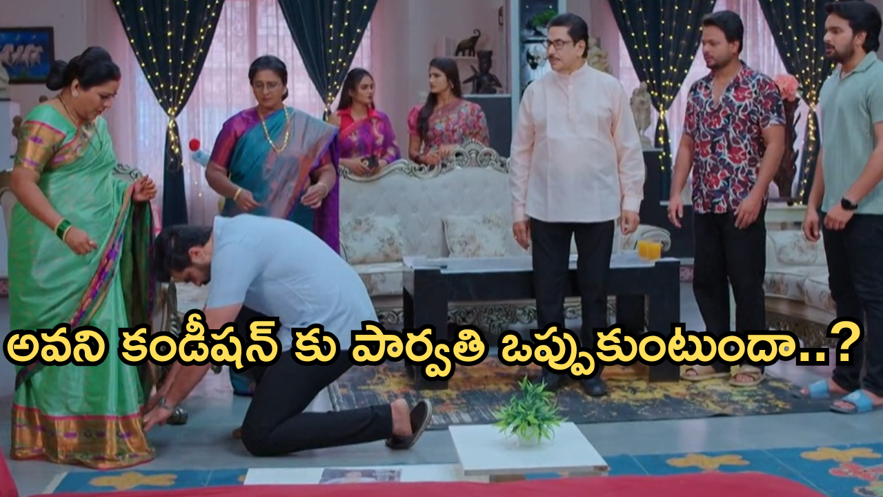 Intinti Ramayanam Today Episode : అవనిని ఇంటికి తీసుకురావడానికి పార్వతి గ్రీన్ సిగ్నల్.. షాకిచ్చిన పార్వతి..