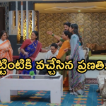Intinti Ramayanam Today Episode : ప్రణతి రహస్యాన్ని దాచిన అవని.. కొత్త జంటకు అండగా దయాకర్..