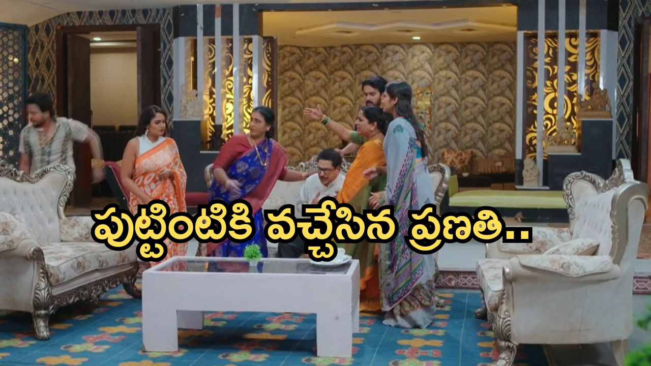 Intinti Ramayanam Today Episode : ప్రణతి రహస్యాన్ని దాచిన అవని.. కొత్త జంటకు అండగా దయాకర్..