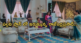 Intinti Ramayanam Today Episode : అవనిని దెబ్బ కొట్టేందుకు పల్లవి ప్లాన్.. ప్రణతి కోసం రోడ్డున పడ్డ అవని..