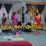Intinti Ramayanam Today Episode : పోలీస్ కంప్లైంట్ ఇచ్చిన పల్లవి.. అవనికి షాకిచ్చిన ప్రణతి..