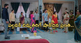 Intinti Ramayanam Today Episode : పోలీస్ కంప్లైంట్ ఇచ్చిన పల్లవి.. అవనికి షాకిచ్చిన ప్రణతి..