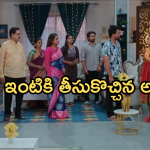 Intinti Ramayanam Today Episode : అవనిని ఆకాశానికి ఎత్తేసిన ప్రణతి.. మళ్లీ ఇంటికి వచ్చేసిన అవని..