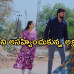 Intinti Ramayanam Today Episode: ప్రణతి ప్రగ్నెన్సీ విషయాన్ని బయట పెట్టిన అక్షయ్.. అవనికి షాక్ ఇవ్వబోతున్న పల్లవి..