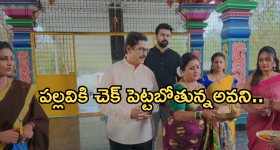 Intinti Ramayanam Today Episode : పల్లవి స్కెచ్ వర్కౌట్.. అవనిని అవమానించిన పార్వతి..