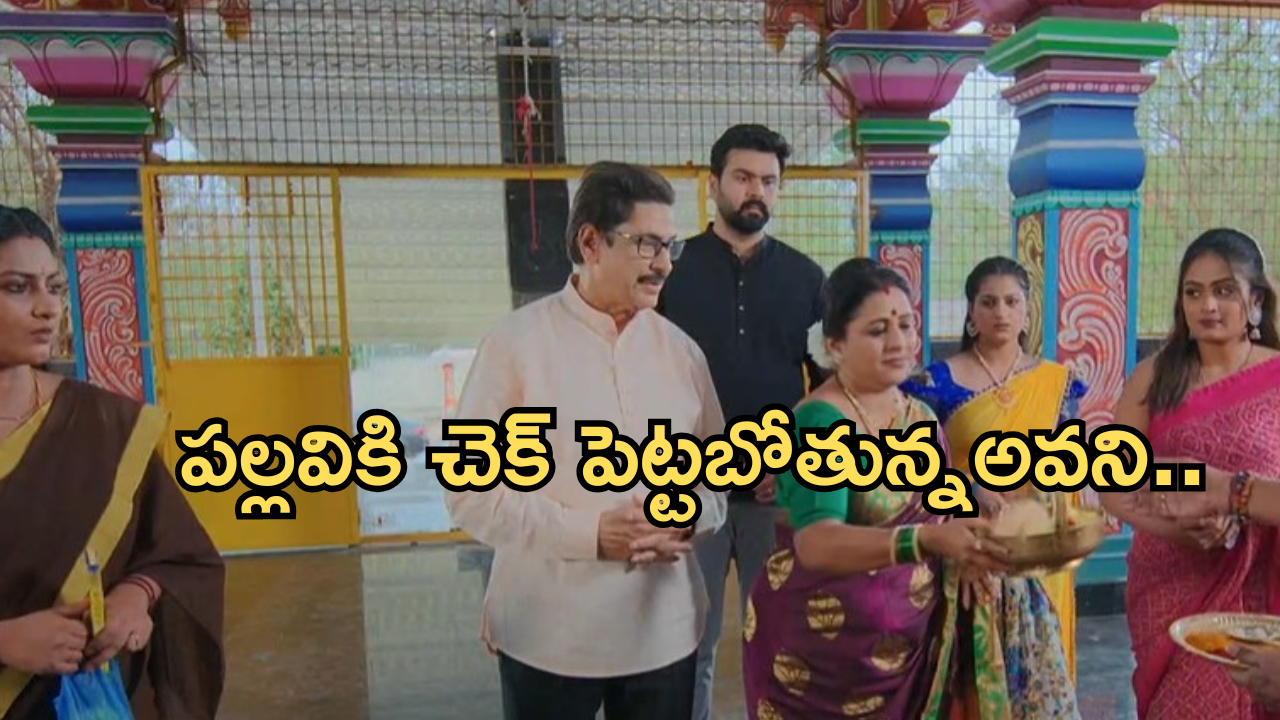 Intinti Ramayanam Today Episode : పల్లవి స్కెచ్ వర్కౌట్.. అవనిని అవమానించిన పార్వతి..