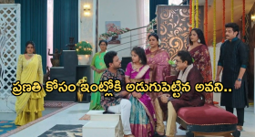 Intinti Ramayanam Today Episode : పల్లవికి దిమ్మతిరిగే షాక్.. ప్రణతి ప్రేమకు అవని సాయం..