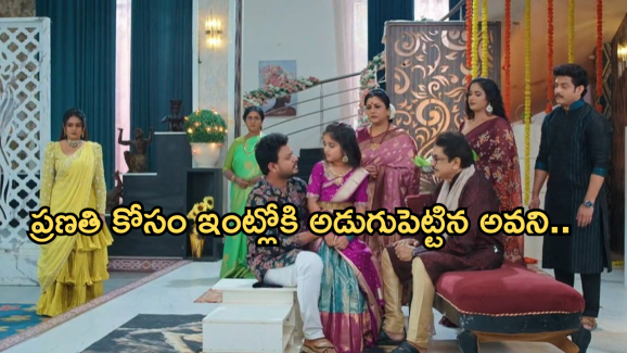 Intinti Ramayanam Today Episode : పల్లవికి దిమ్మతిరిగే షాక్.. ప్రణతి ప్రేమకు అవని సాయం..