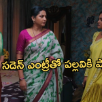Intinti Ramayanam Today Episode : ప్రణతి కోసం టీచర్ గా అడుగుపెట్టిన అవని.. షాక్ లో పార్వతి..