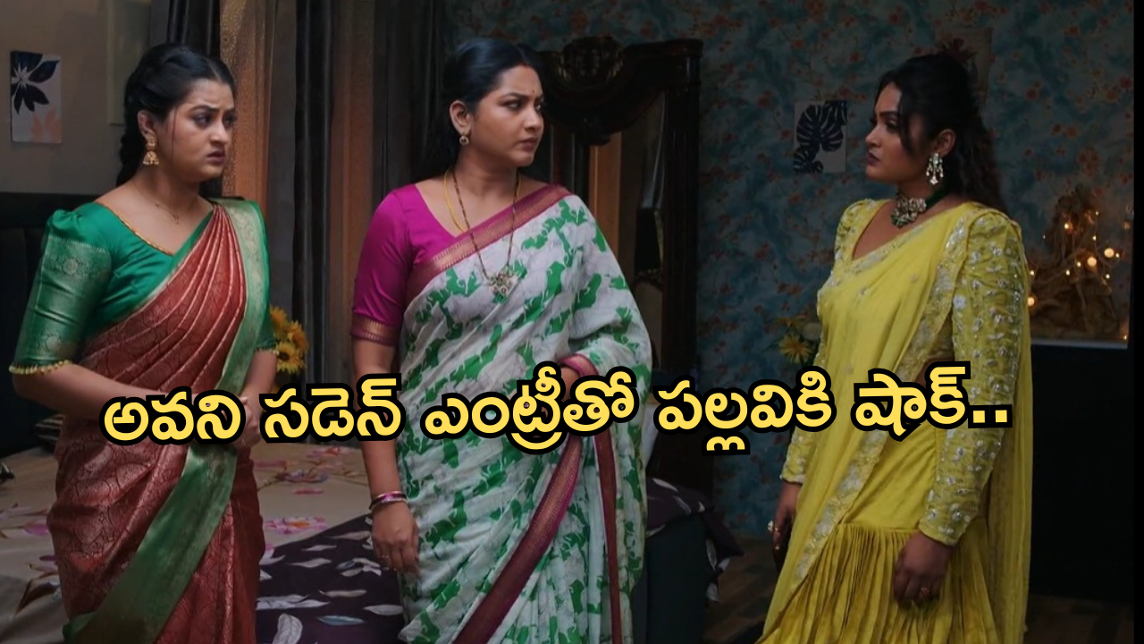 Intinti Ramayanam Today Episode : ప్రణతి కోసం టీచర్ గా అడుగుపెట్టిన అవని.. షాక్ లో పార్వతి..
