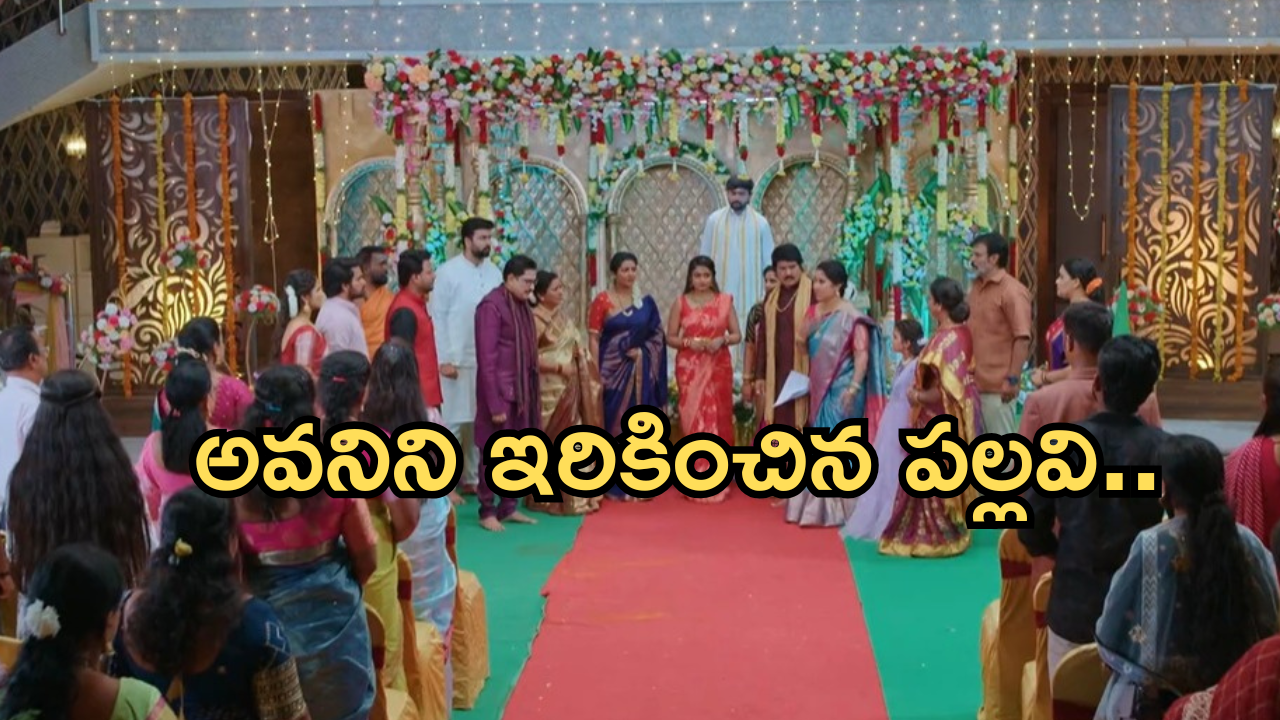 Intinti Ramayanam Today Episode : ఇంట్లోంచి వెళ్ళిపోయిన ప్రణతి.. అవమానంతో కన్నీళ్లు పెట్టుకున్న రాజేంద్రప్రసాద్..