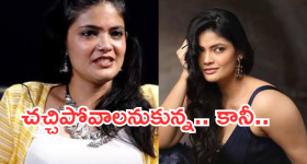 Homemade Sunscreen: ఇంట్లోనే.. సన్ స్క్రీన్ తయారు చేసుకుందామా ?