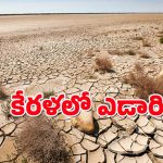Kerala : ఎడారిగా మారుతున్న కేరళ – అత్యధిక వర్షపాత రాష్టంలోనే ఎందుకిలా.?