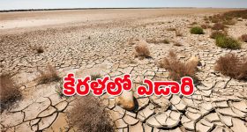 Kerala : ఎడారిగా మారుతున్న కేరళ - అత్యధిక వర్షపాత రాష్టంలోనే ఎందుకిలా.?