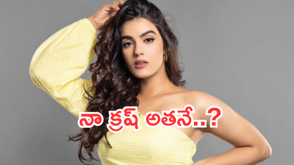 Tollywood Heroine: ఆ హీరో అంటే పిచ్చి.. ఆయనతో ఒక్కసారి అలా చెయ్యాలి.. కుర్ర బ్యూటీ కామెంట్స్..