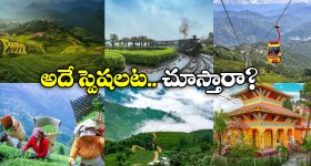 Darjeeling Visit: మార్చి నెలలో డార్జిలింగ్ వెళ్లాలా? ఏమిటీ అంత ప్రత్యేకత?