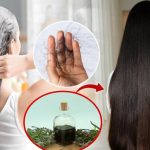 Bhringraj Oil: జుట్టు రాలుతోందా ? ఈ ఆయిల్ ఒక్క సారి వాడినా చాలు.. బెస్ట్ రిజల్ట్స్