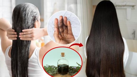 Bhringraj Oil: జుట్టు రాలుతోందా ? ఈ ఆయిల్ ఒక్క సారి వాడినా చాలు.. బెస్ట్ రిజల్ట్స్