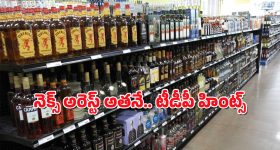 Xiaomi 15 Series: సాంసంగ్‌కు గట్టి పోటీగా కొత్త స్మార్ట్‌ఫోన్.. 200MP కెమెరాతోపాటు..